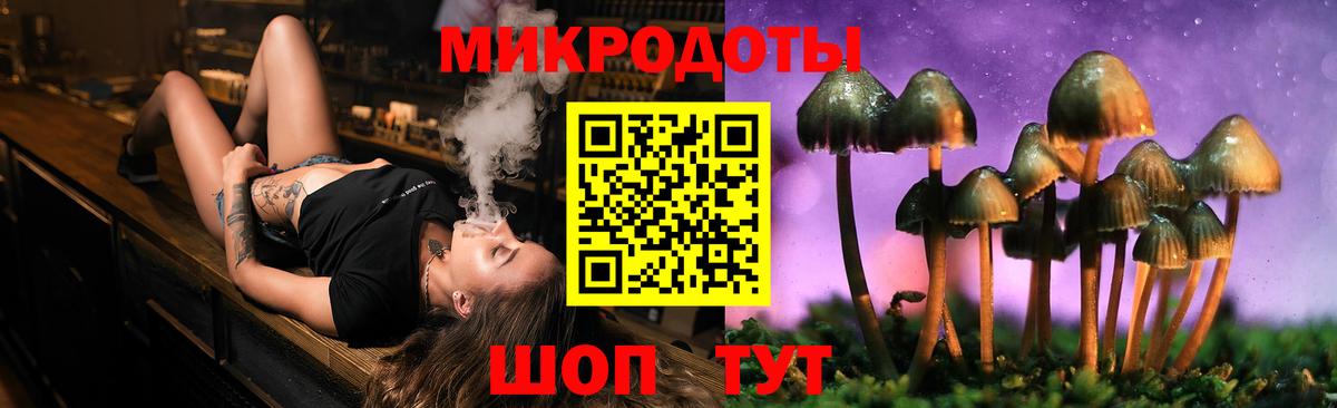 как найти закладки  Галлюциногенные грибы Psilocybe  Когалым  Вход с VPN  Галлюциногенные грибы Cubensis 